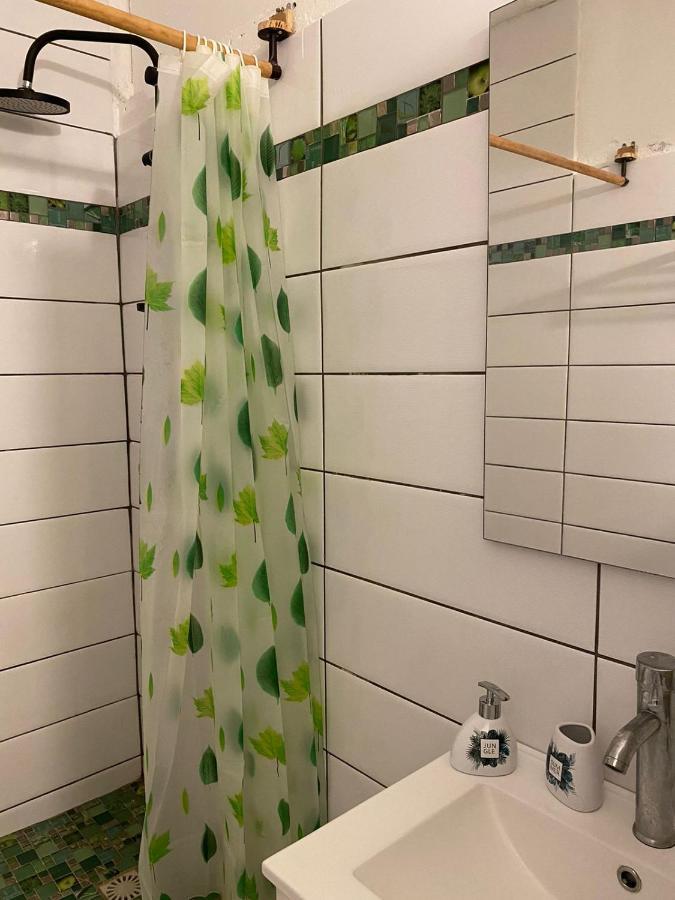 Tranquillite Vert 黑角 外观 照片